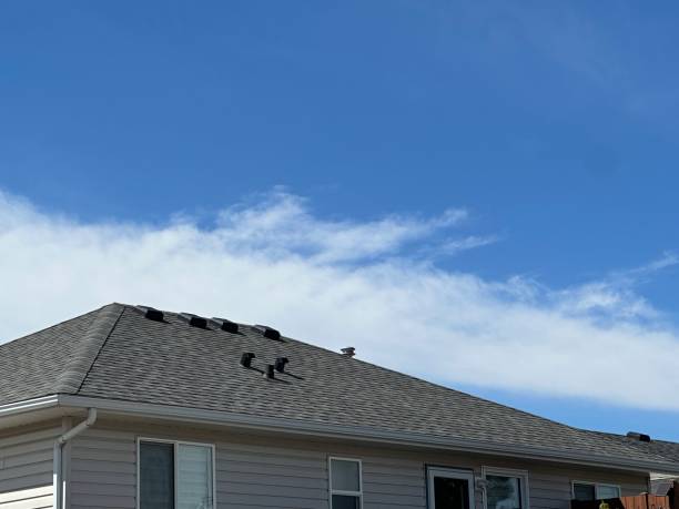 Sheet Metal Roofing in Fairbury, IL